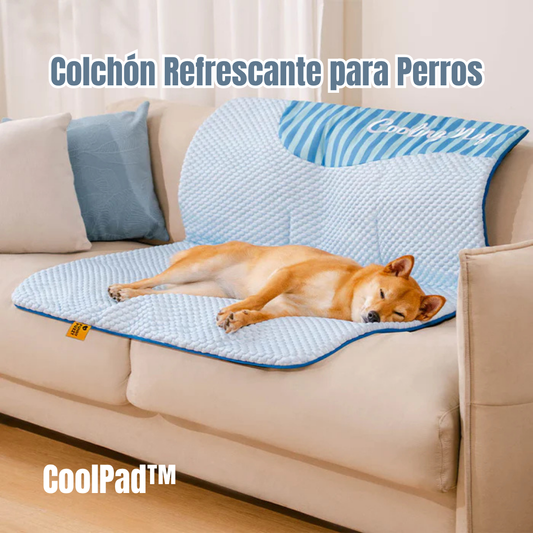 CoolPad: Colchón Refrescante para Perros