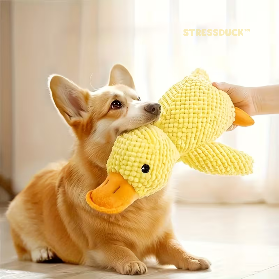 StressDuck: Juguete Antiestrés