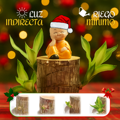 ChristmasTree: Planta de madera navideña de la suerte