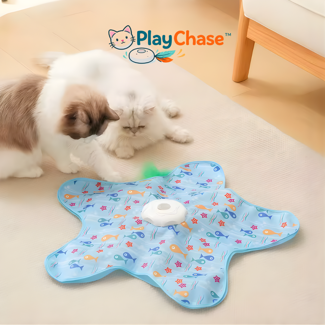 PlayChase™ – Juguete Interactivo Recargable para Gatos