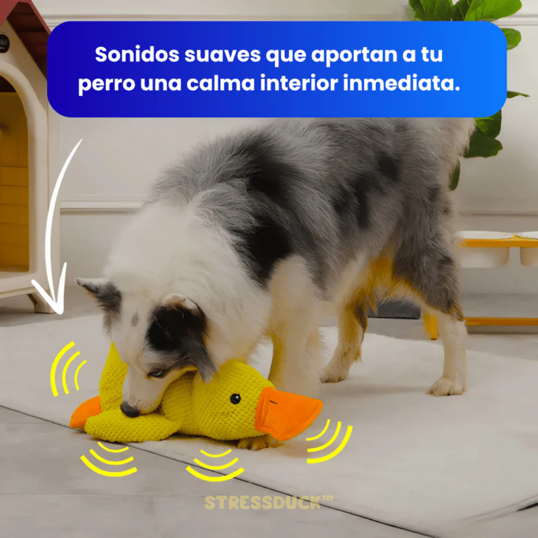 StressDuck: Juguete Antiestrés