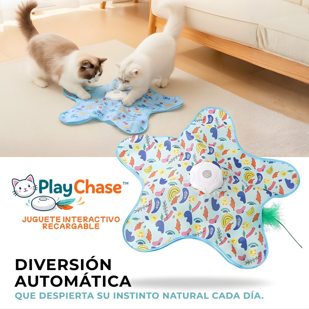 PlayChase™ – Juguete Interactivo Recargable para Gatos