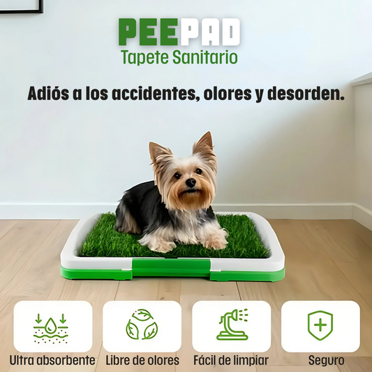 Pee Pad: Tapete sanitario para perros