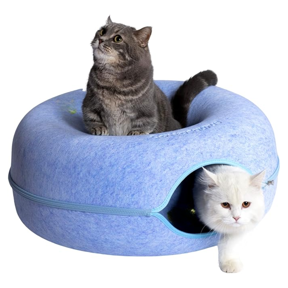 FreshCave: Refugio refrescante para gatos