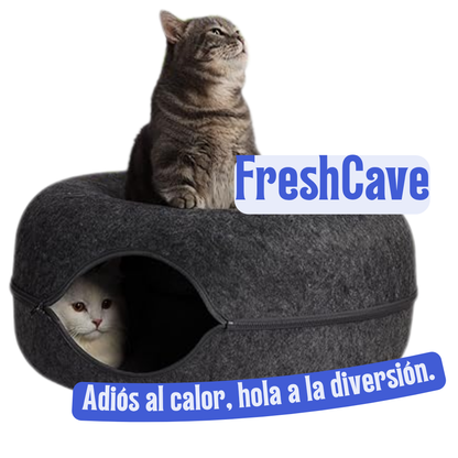 FreshCave: Refugio refrescante para gatos