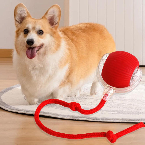 PawJoy™ – Pelota Inteligente Interactiva para Mascotas