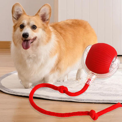 PawJoy™ – Pelota Inteligente Interactiva para Mascotas